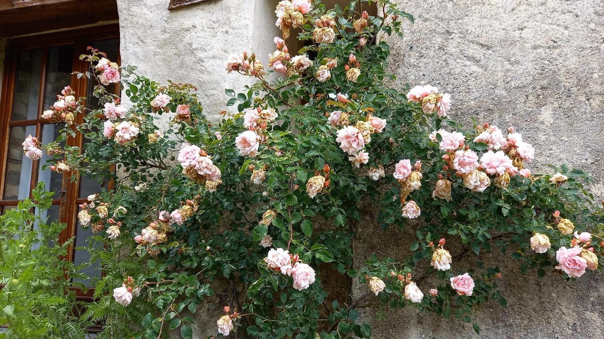 Appartement Les Gites Du Chateau La Robine-Sur-Galabre France